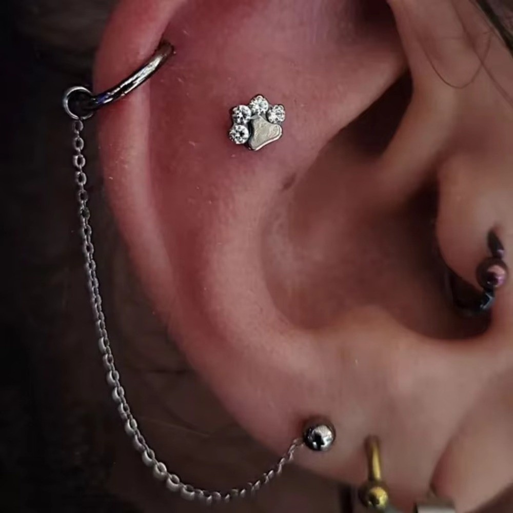 Chaîne de nez en titane, chaîn - Body Jewelry And Piercing avis et prix