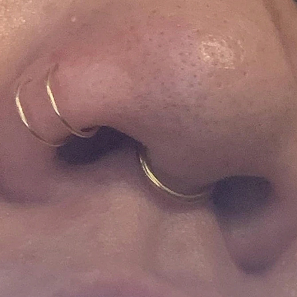 Faux anneaux de nez et faux se - Body Jewelry And Piercing avis et prix